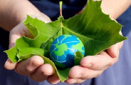 Sustainability.png