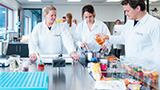 The rise of nutraceutical gummies as a delivery system for supplements