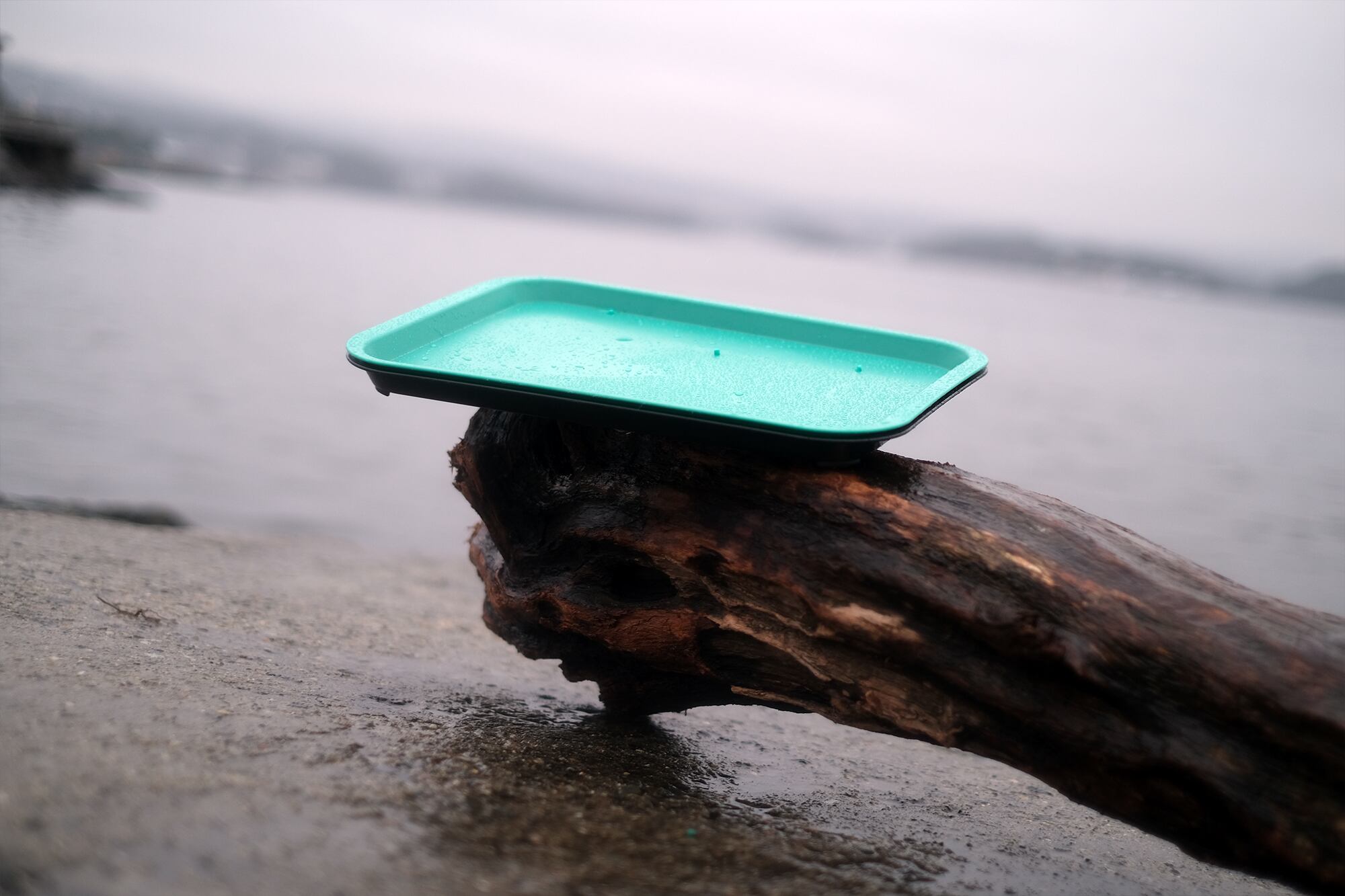 Aker BioMarine forms new business unit aimed at plastic recycling