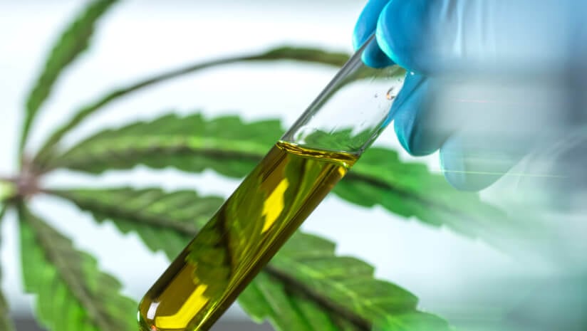 CBD companies face ongoing market and legislative challenges, expand portfolios