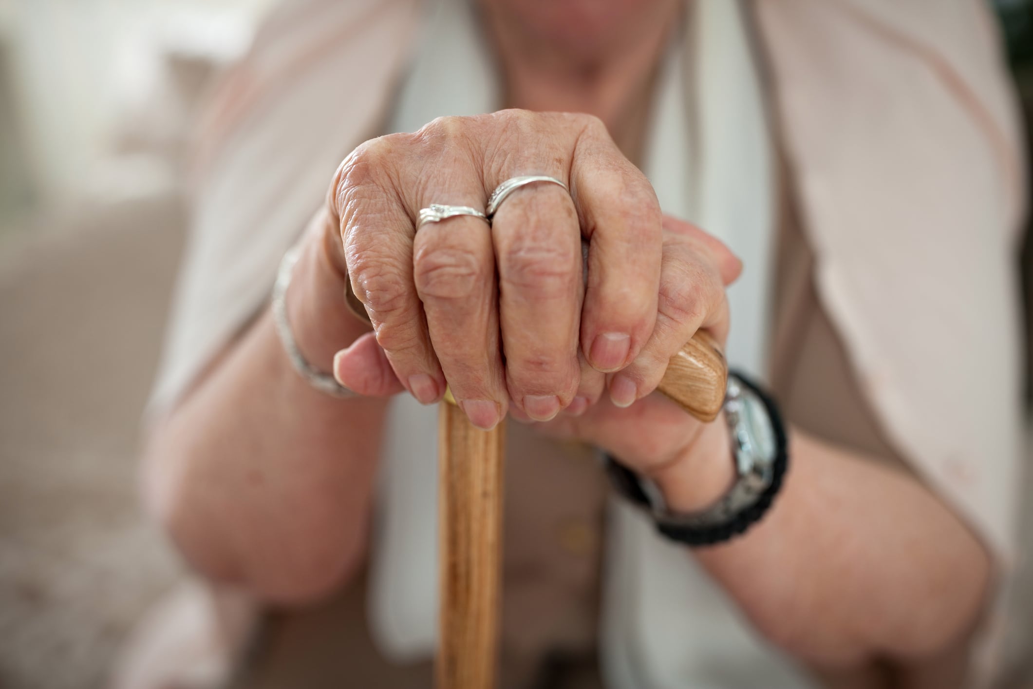 Gut-bone axis: Daily probiotic may boost bone health for older women
