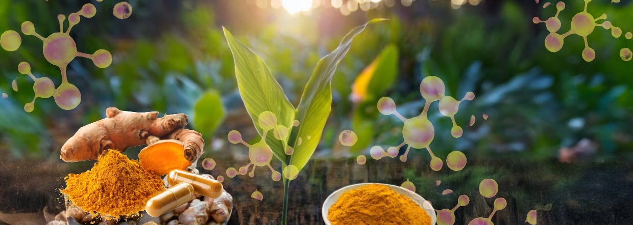 Curcumin to unlock better brain and metabolic health
