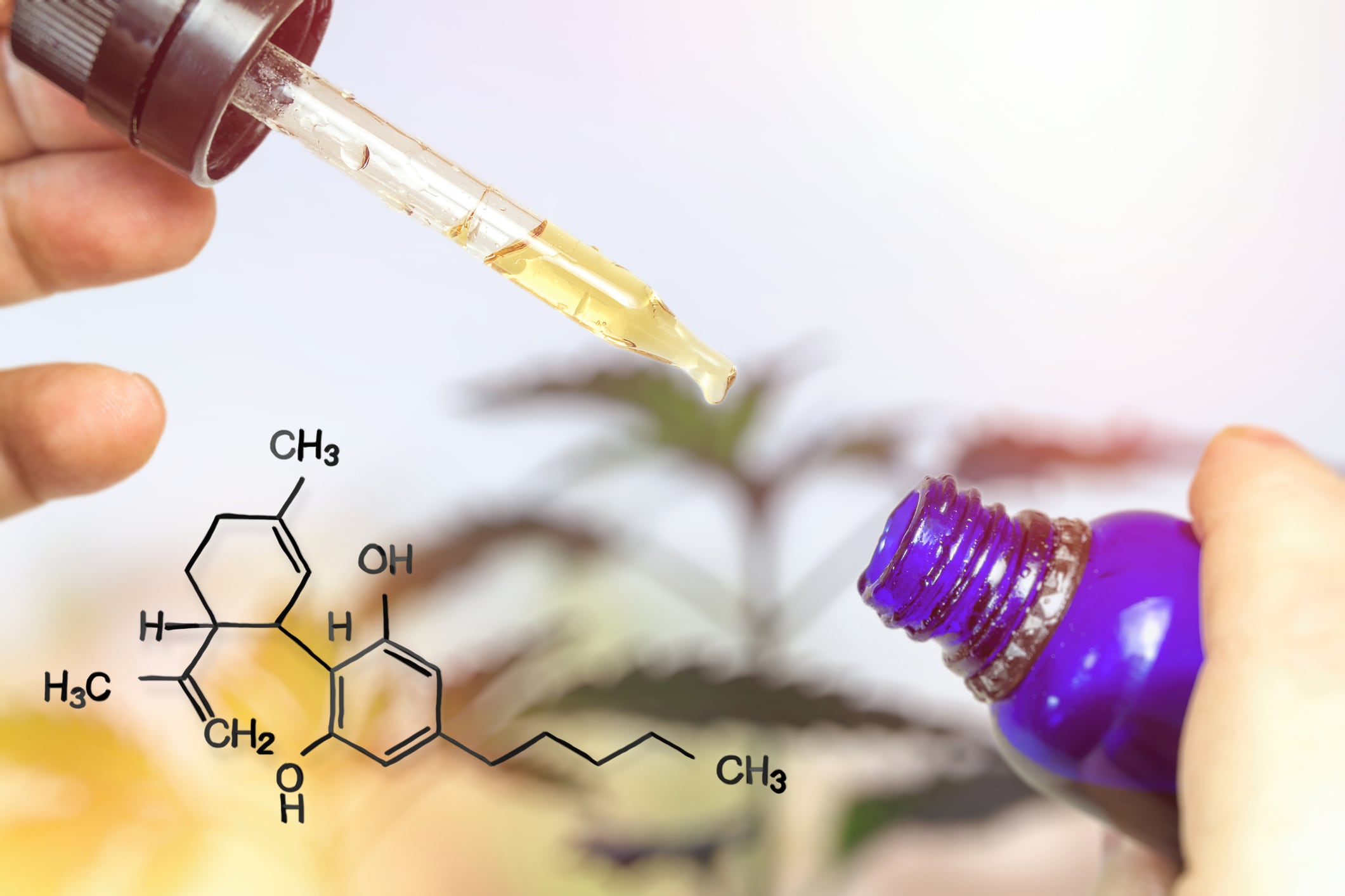 Free Webinar: What does the science really say about Hemp and CBD?