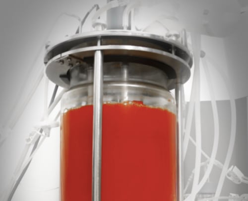 New astaxanthin player debuts armed with ‘dark fermentation’ patent