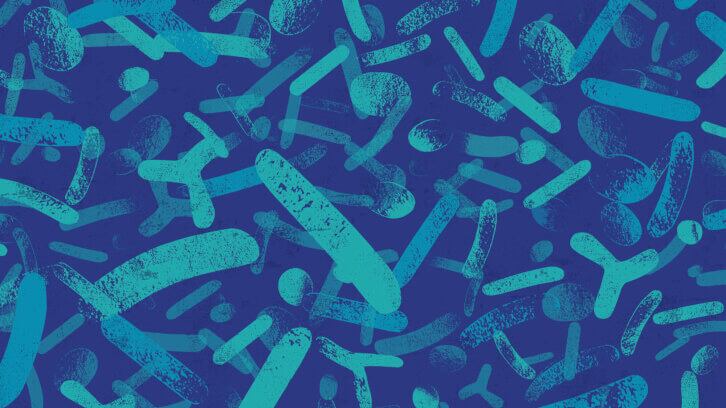 Pre-and-probiotics-may-impact-social-decision-making.jpg