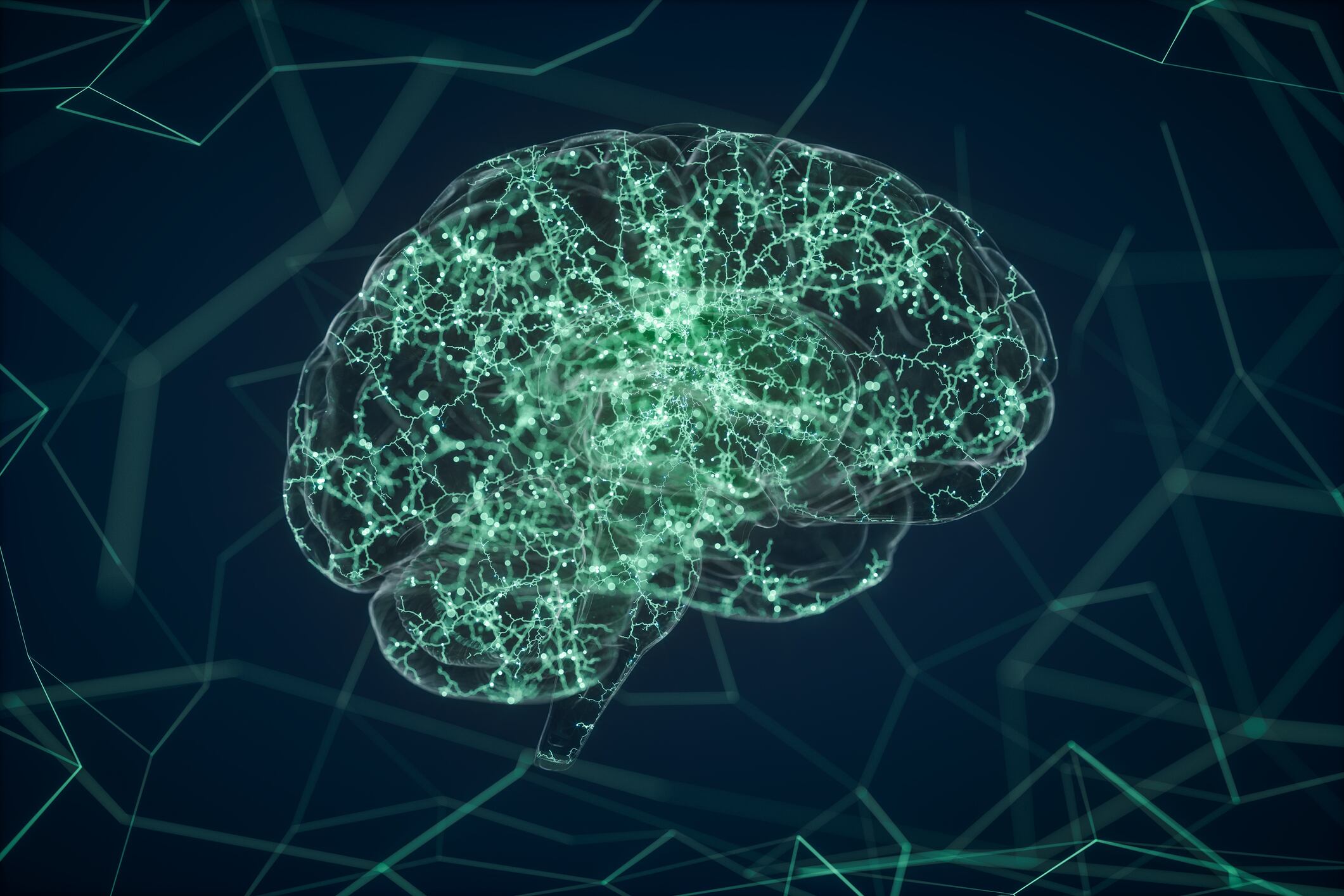 Gut-brain axis: Probiotic combination may produce changes in brain morphology, says RCT