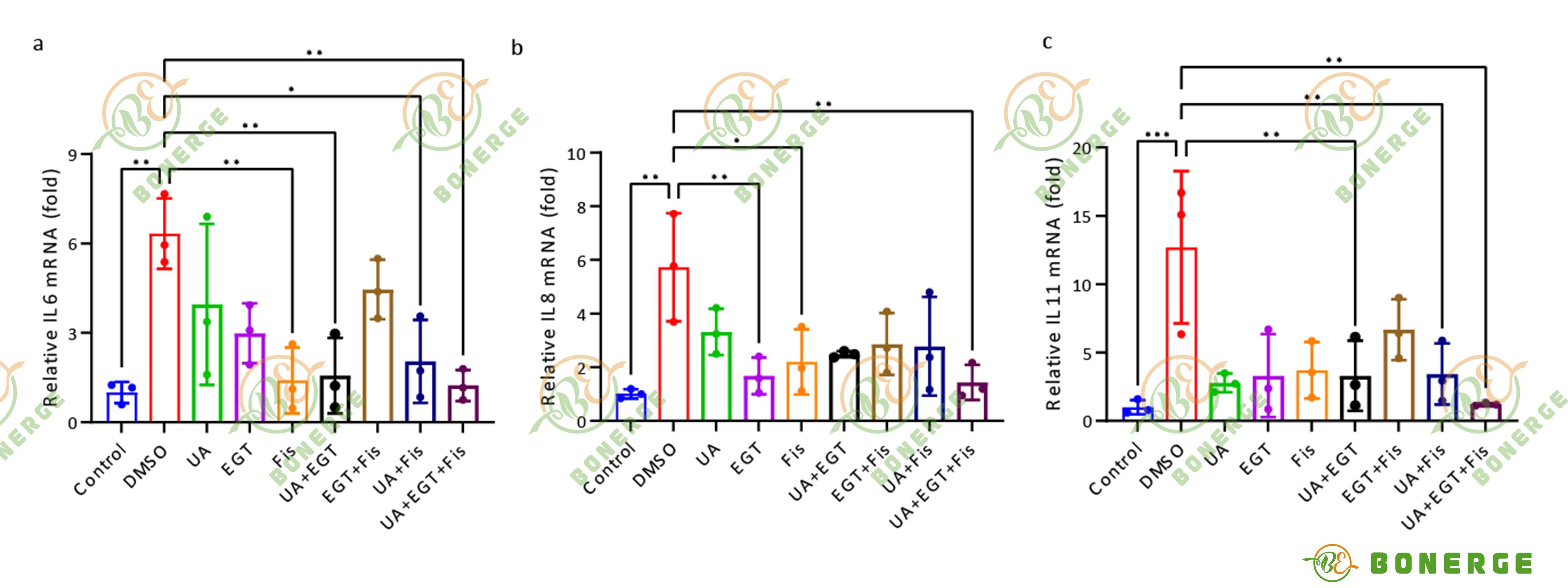 Figure 2: Comparison data on the expression of cellular inflammatory factors IL-6, IL-8, and IL-11.