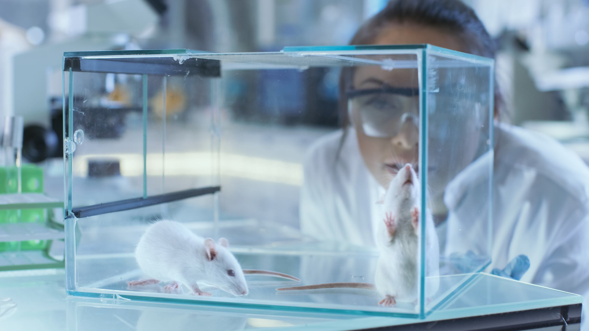 Scientists-identify-probiotic-and-amino-acid-mix-for-cognitive-health.jpg