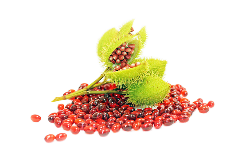 about-topPicAsset-1-2x-cutout.png