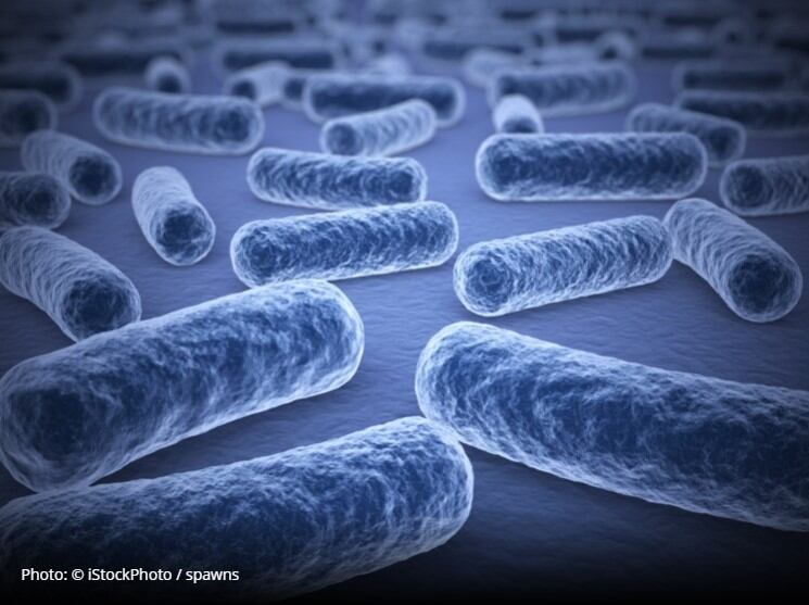 Probiotics-3.jpg