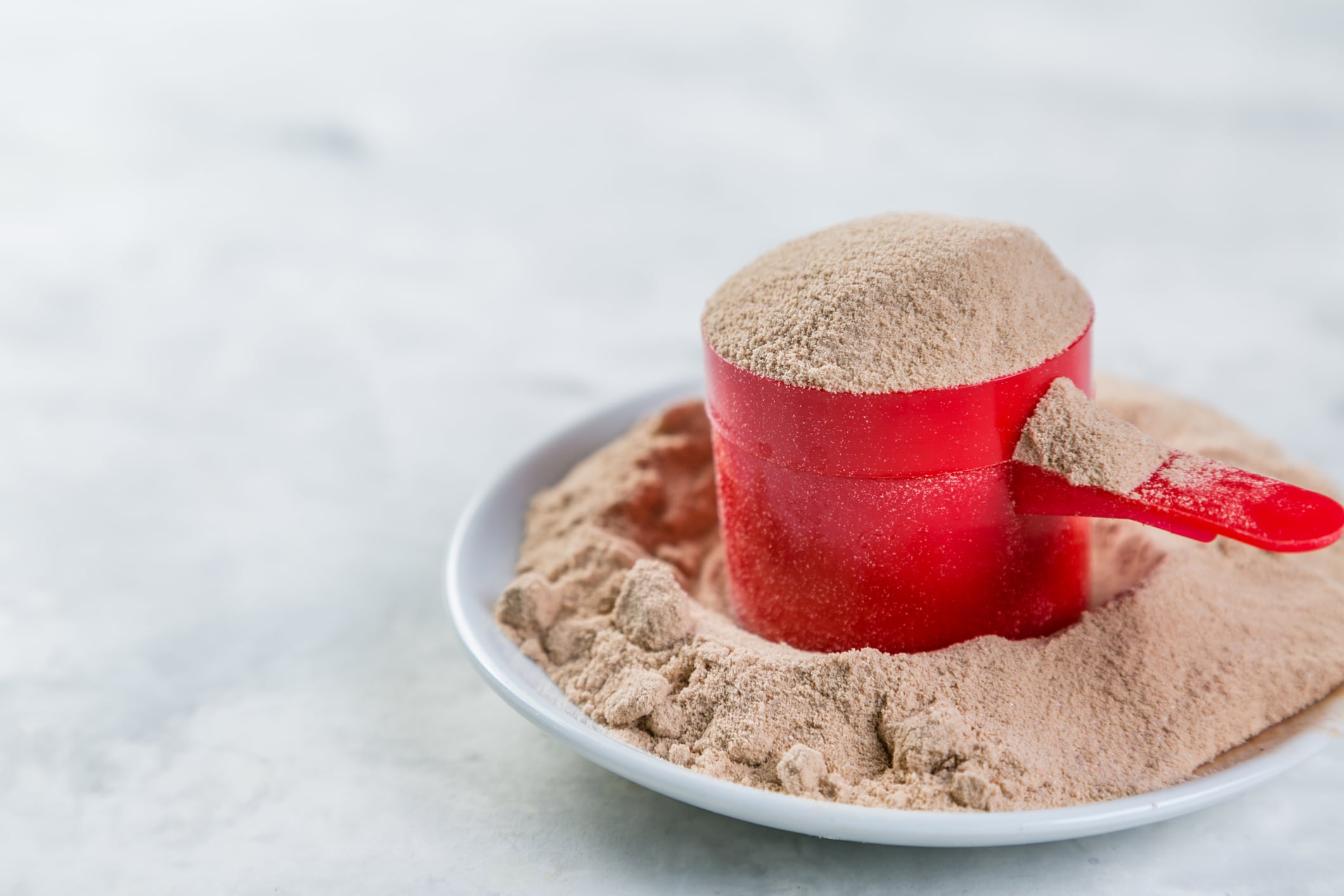 Burcon launches new plant protein blends, forms JV to build new production plant