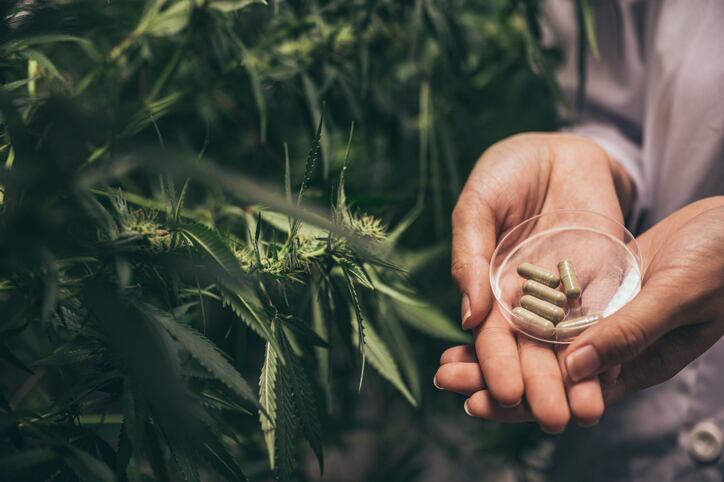 Is pain relief from CBD all in your head? Researchers put placebo effect to the test