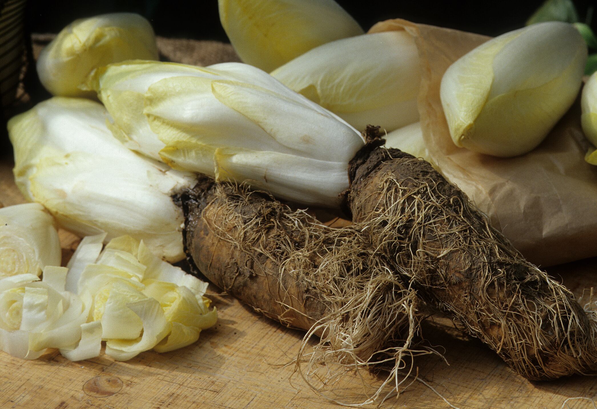 Brussels chicory shows potential as an ergogenic aid in exercise