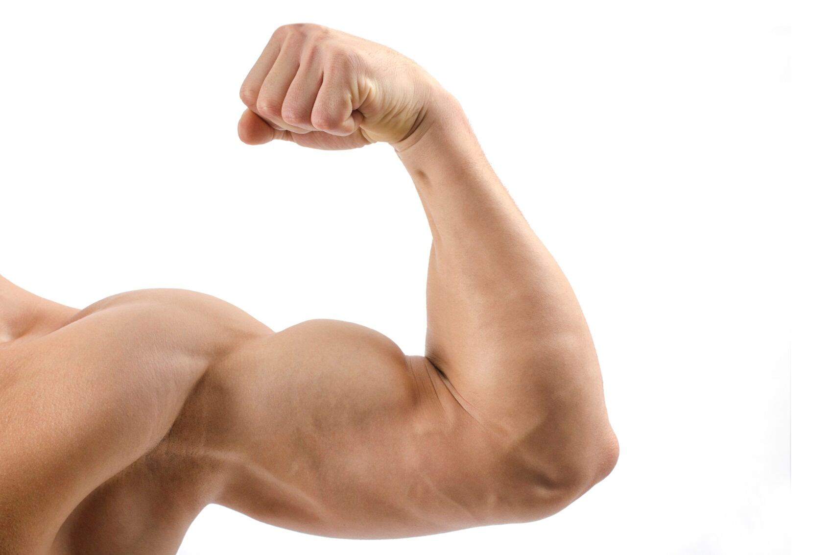 bicep.jpg