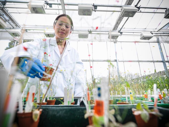 Herbalife’s DNA-based botanical authentication program