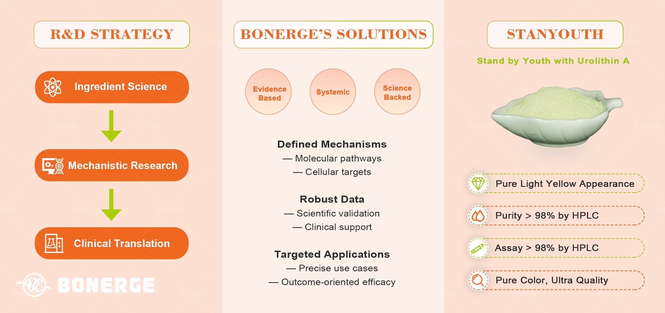 Bonerge R&D, STANYOUTH urolithin A, ingredient science, clinical translation
