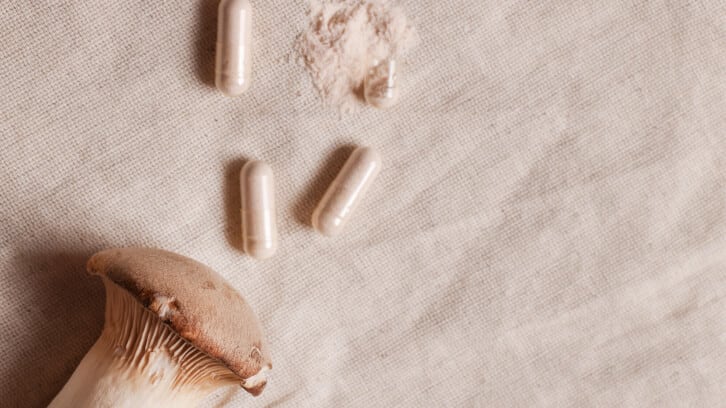 Mushroom product labeling: Nammex files Citizen Petition requesting FDA actions