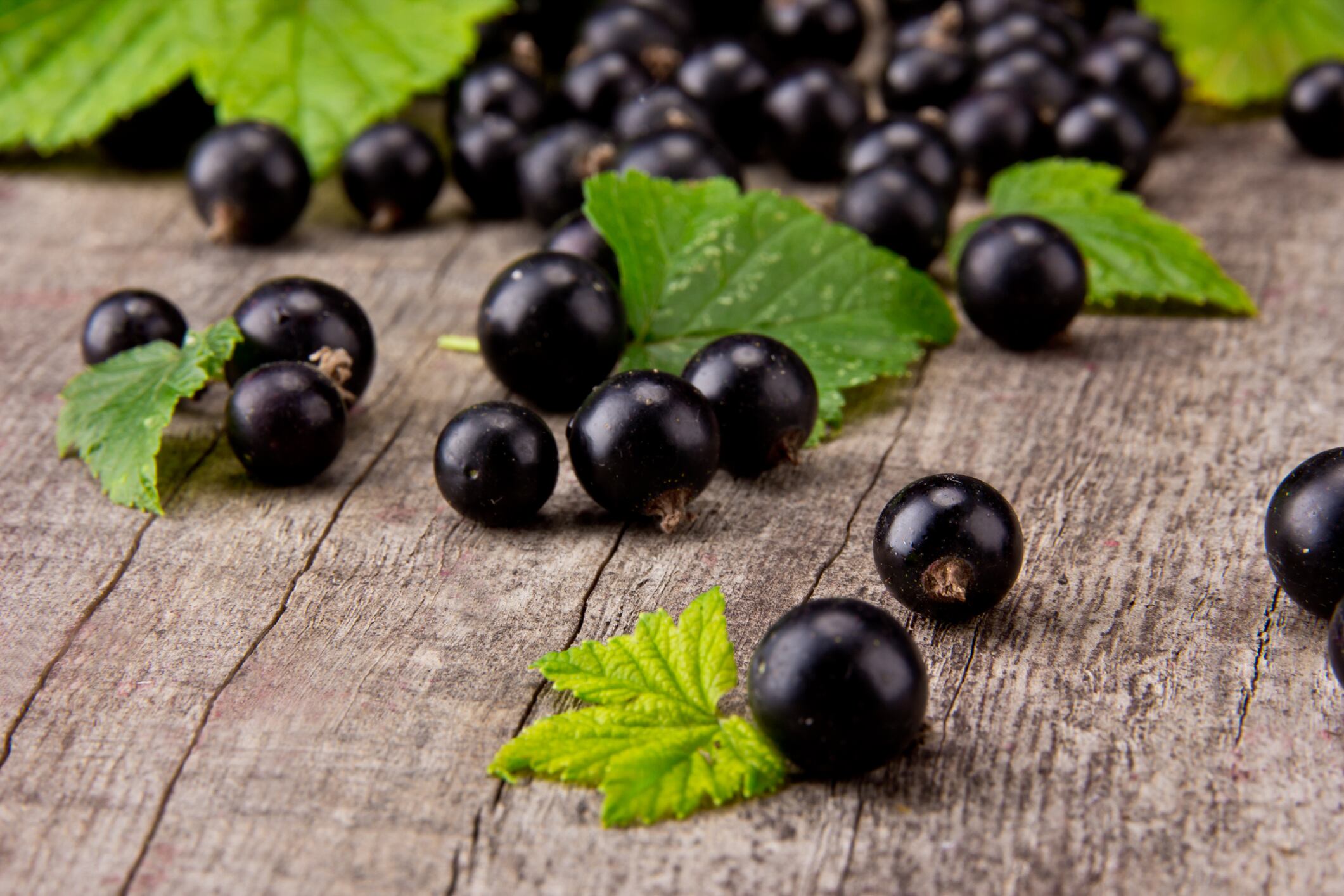 Anthocyanin supplements show heart health benefits for people with MetS: study