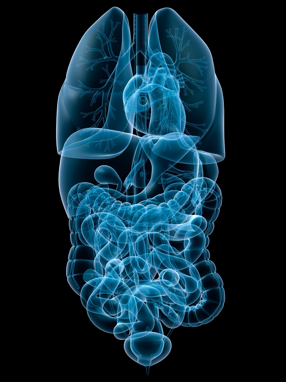 iStock_000016033072_Medium.jpg