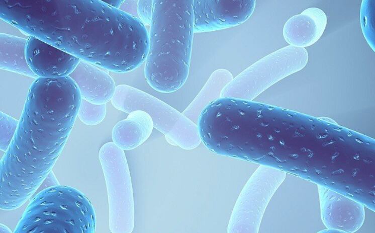 Sabinsa gets patent on LactoSpore’s mood benefits