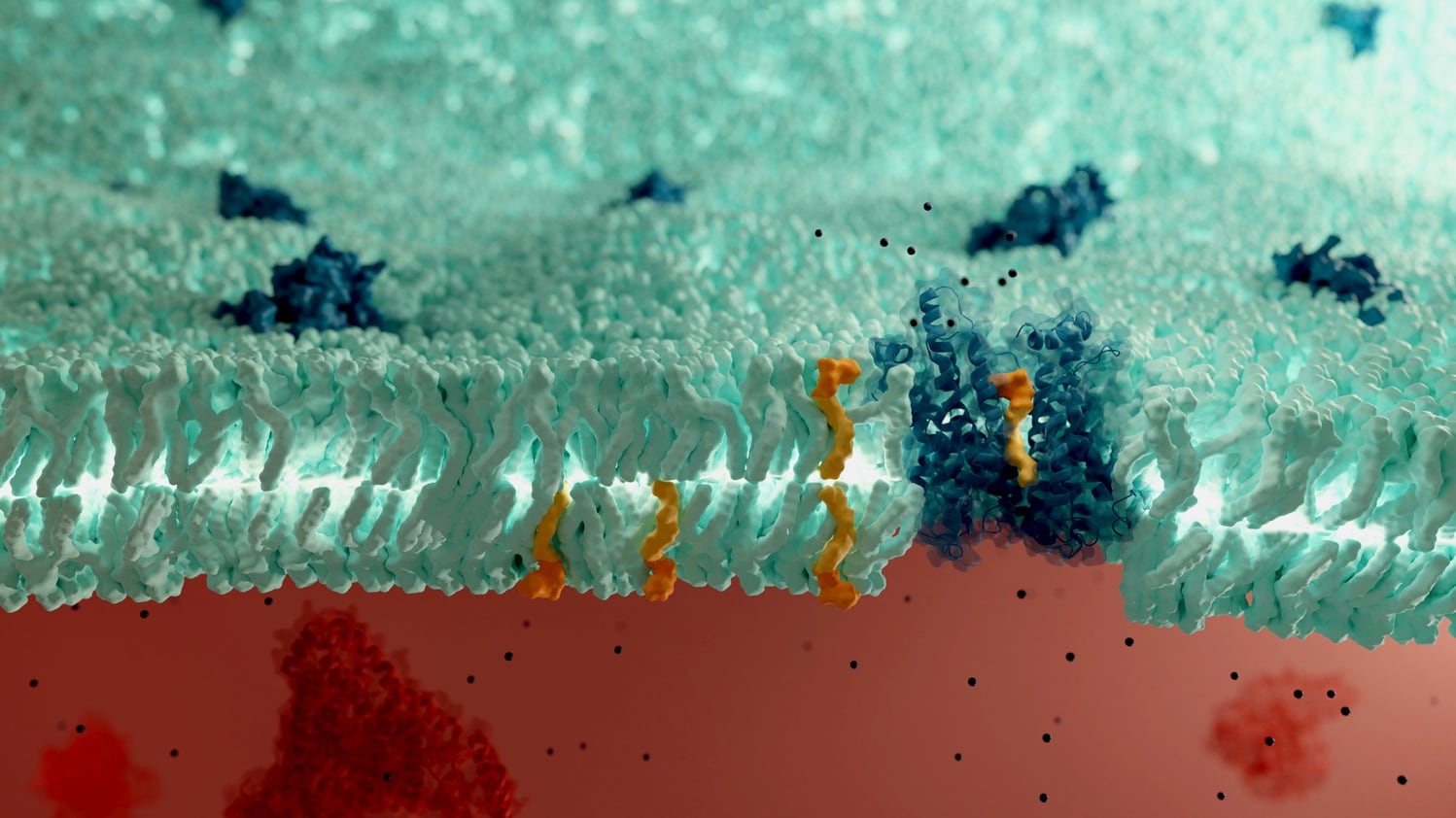 Aker Biomarine gets NDI nod from FDA for brain health ingredient 