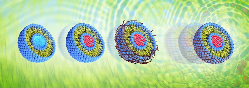 New-Technology-Optimizes-Vitamin-C-Reduced-Degradation-Sustained-Release-and-Enhanced-Absorption-Through-Fiber-Interlaced-Liposomal-FIL-Ascorbi.jpg