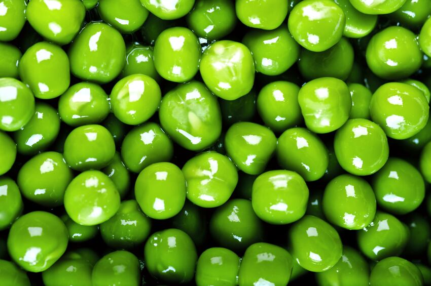 peas-protein.jpg