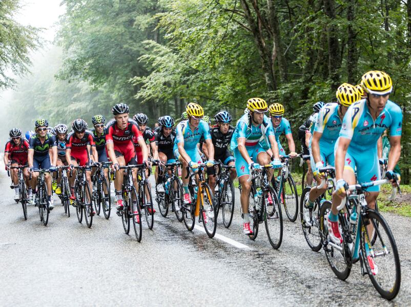 Sports nutrition supplements containing betaine could push intake over safe limit, EFSA warn