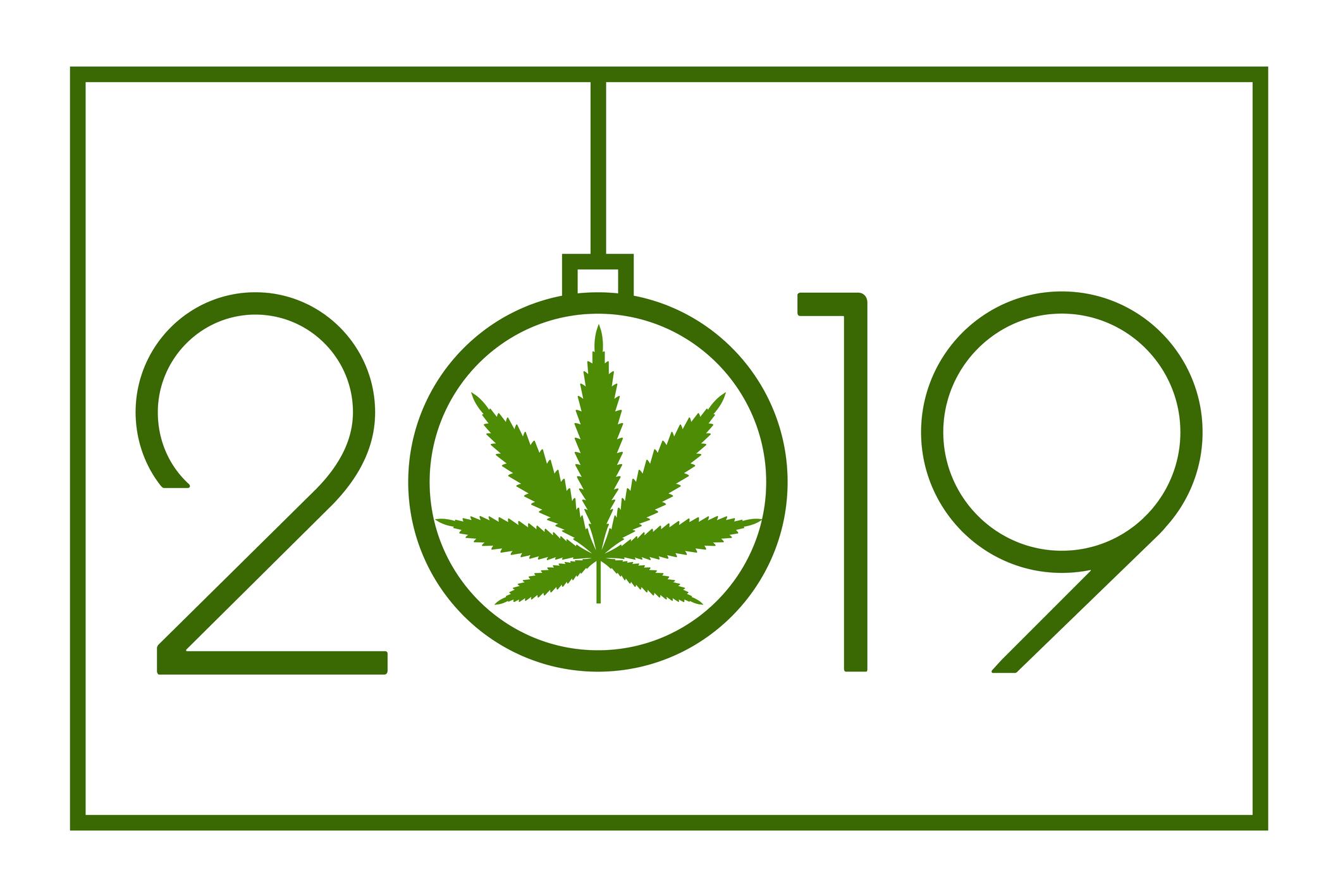 NPA review of 2019: CBD Goes Mainstream
