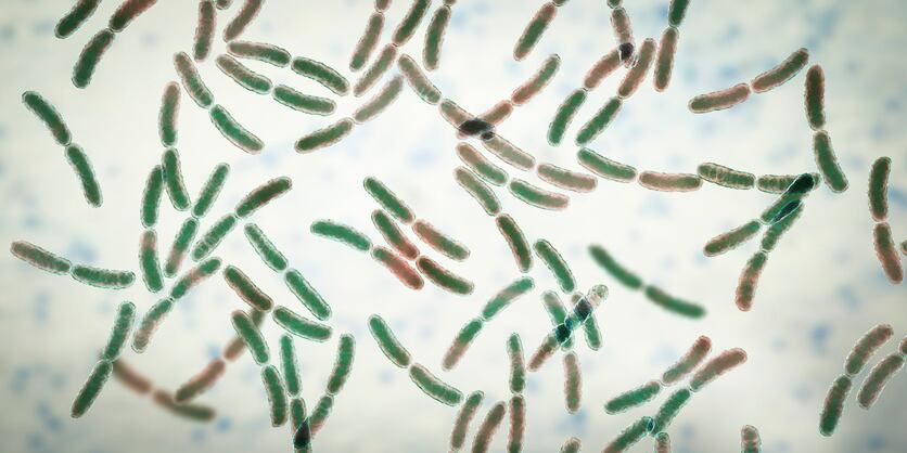 Host genetics, gut microbiota play role in MS severity: Mouse study 