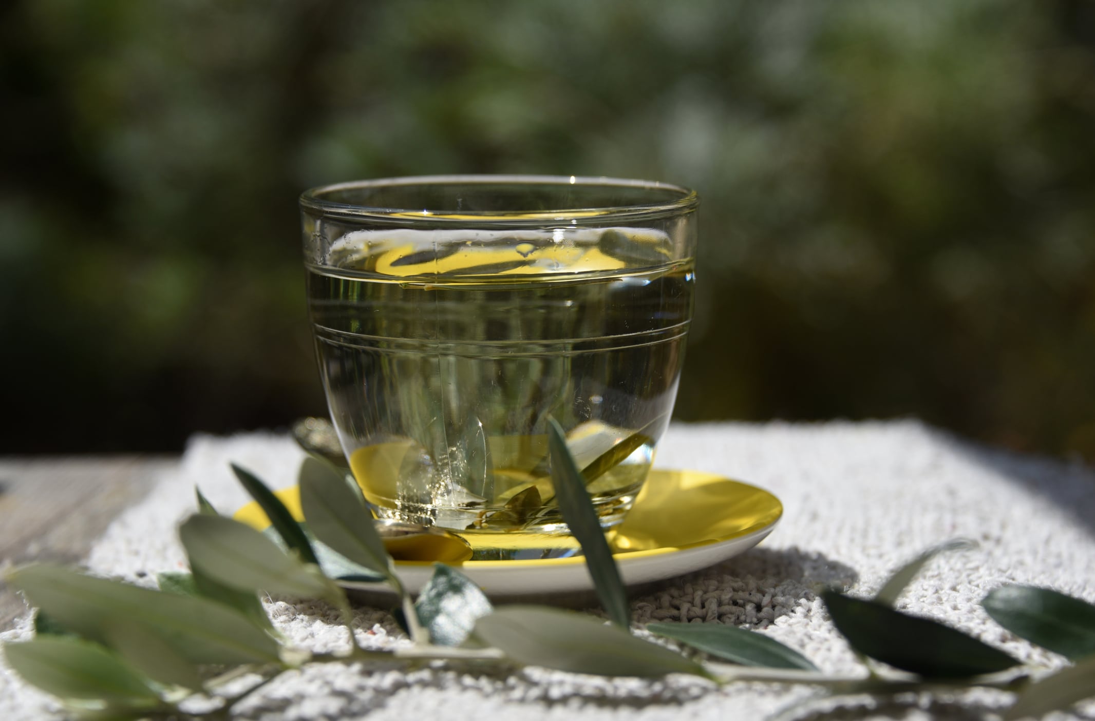 Can olive leaf support postprandial dysmetabolism? 
