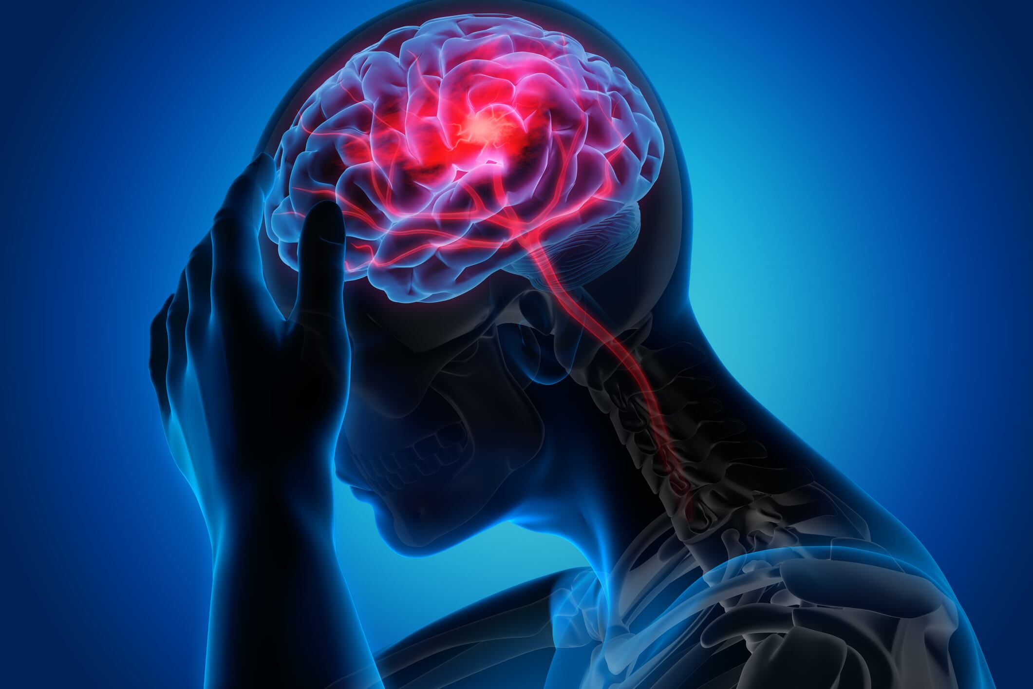 Novozymes-exhibit-psychobiotic-to-target-stress-through-gut-brain-axis.jpg