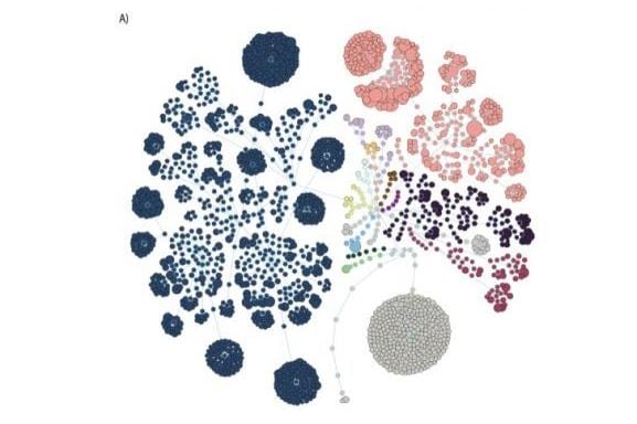 Gut-microbiome-composition.jpg