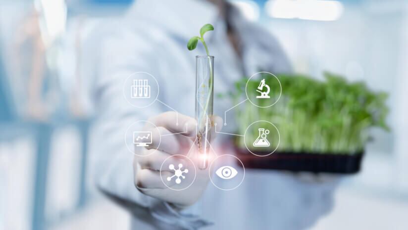 Expert opinion: Botanical Safety Consortium advances novel neurotoxicity screening 