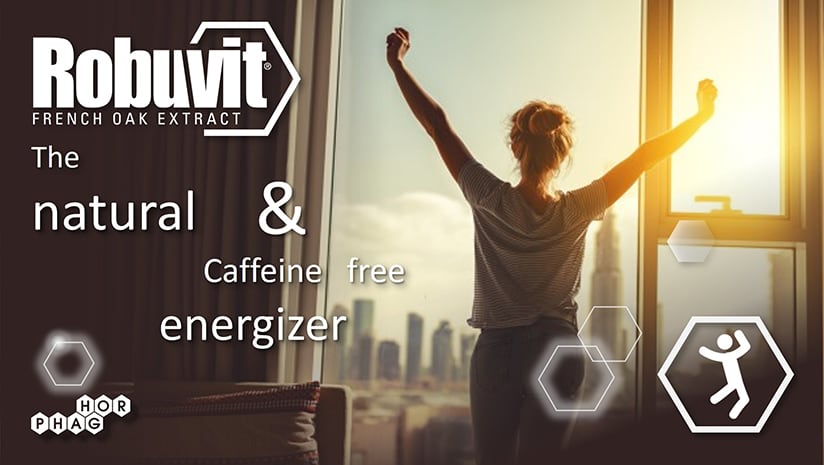 Robuvit® French Oak Wood Extract for Energy