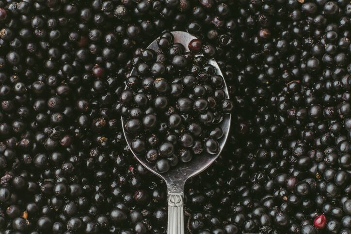 Elderberry sales grow as demand increases for superfruits and functional ingredients