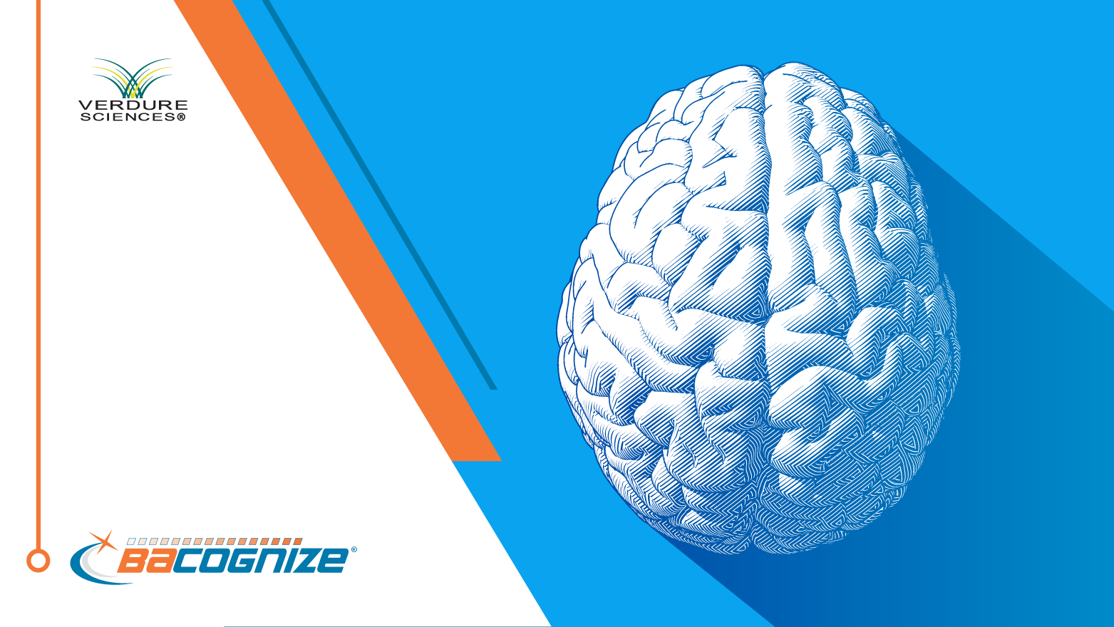 Clean Label Meets Cognitive Support Innovation
