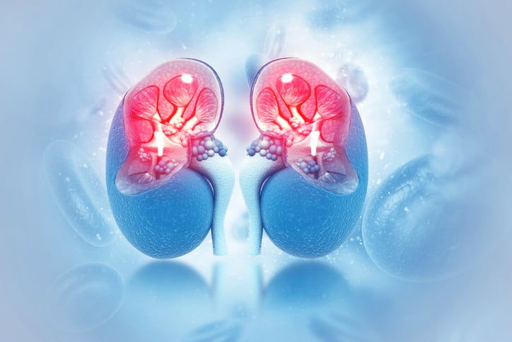 Recover, reset, rebalance: formula addresses the 3Rs of adrenal health