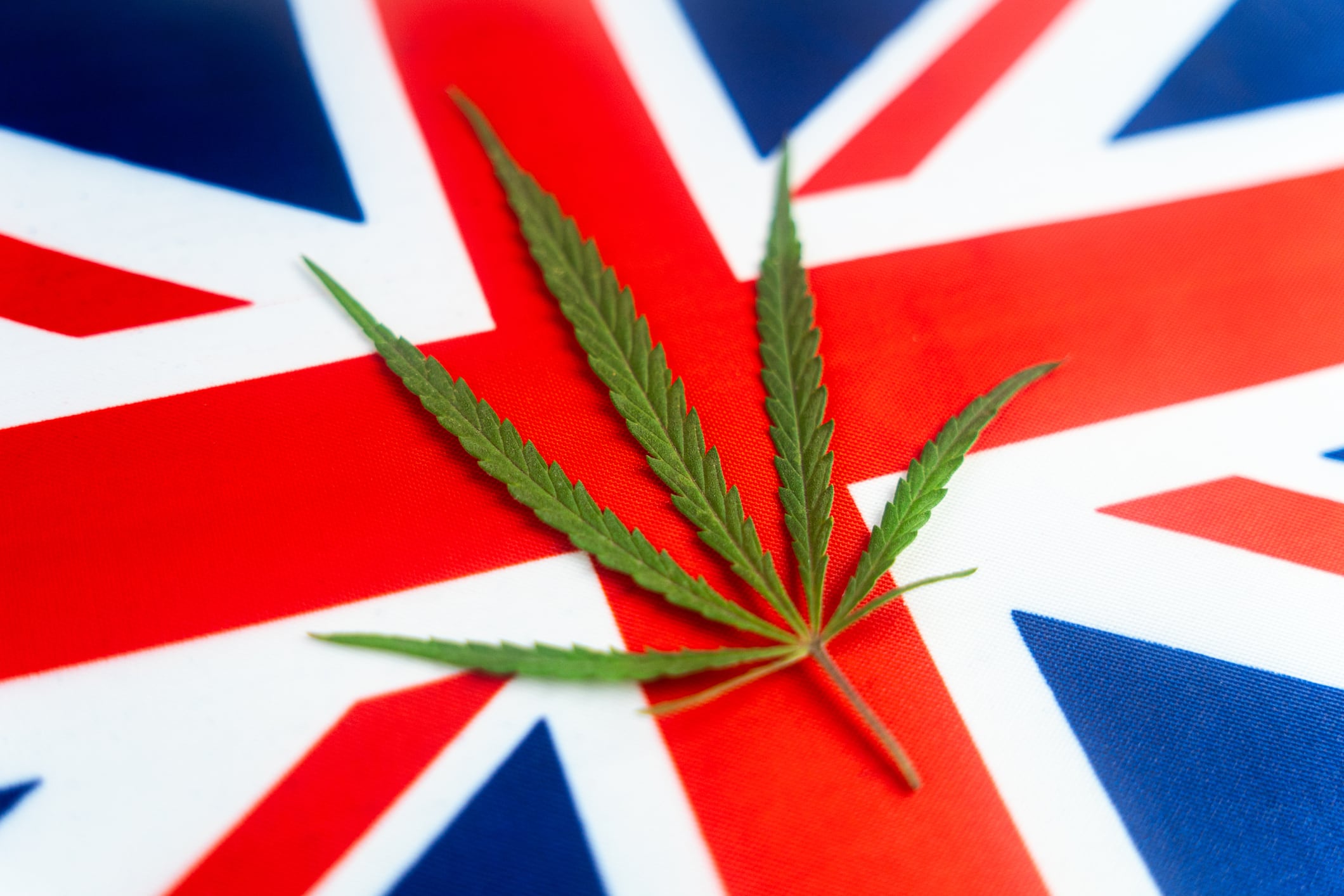 An 'historic' moment for CBD industry as UK Gov accepts recommended THC limit 