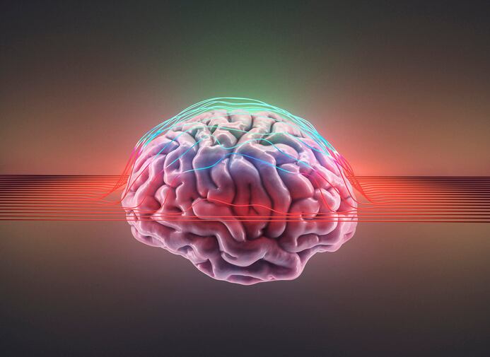 Omega-3 fatty acid lipid findings could be a game-changer in the aging brain