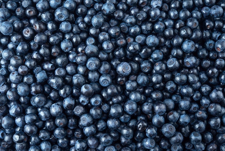Compound-found-in-blueberries-linked-to-increased-physical-activity-in-mouse-study.jpg