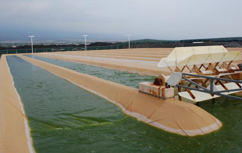 cellana-ponds.jpg