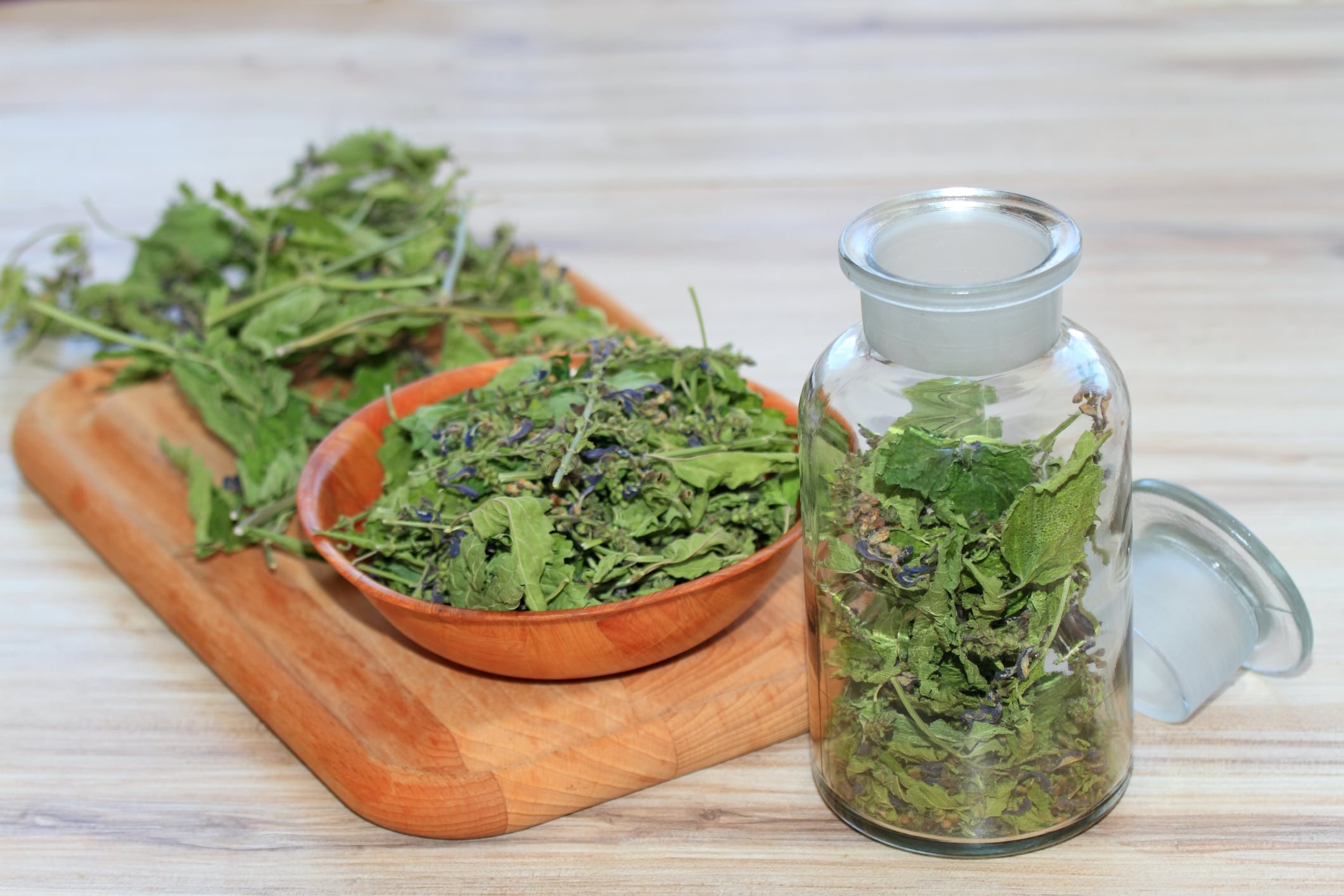 Skullcap shows promising results for sleep support