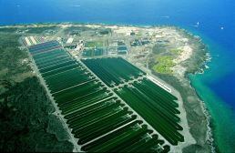 Cyanotech-facility-Hawaii.jpg