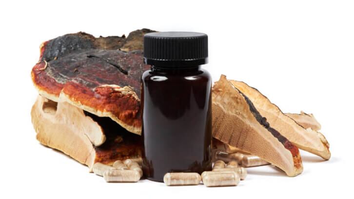 Fungi Perfecti responds to ‘puzzling opinion’ in Nammex petition