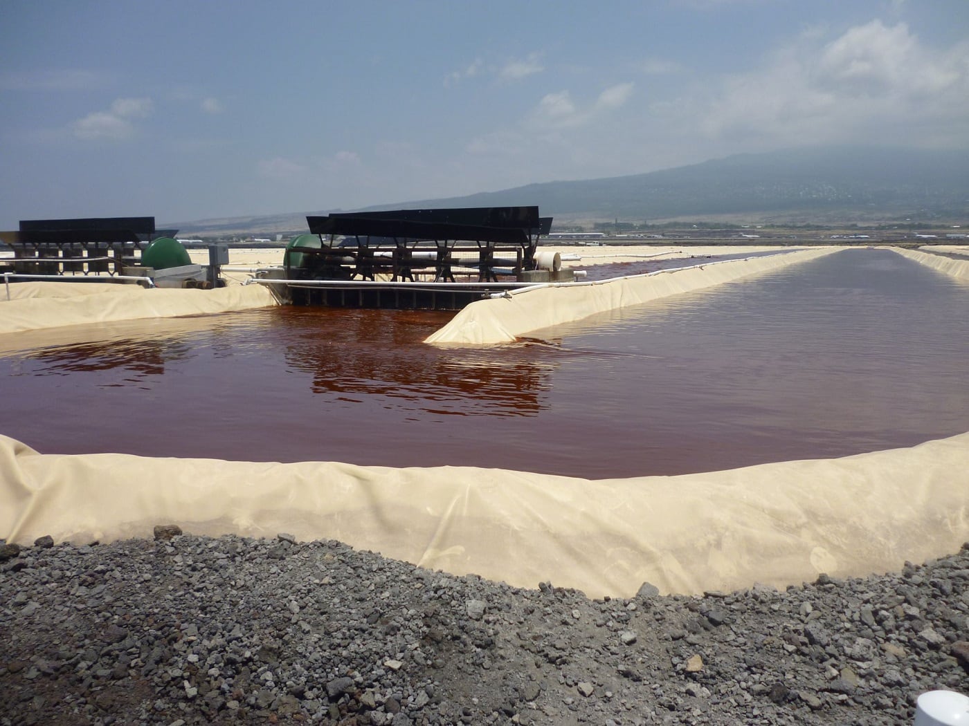 Cyanotech-red-astaxanthin.jpg