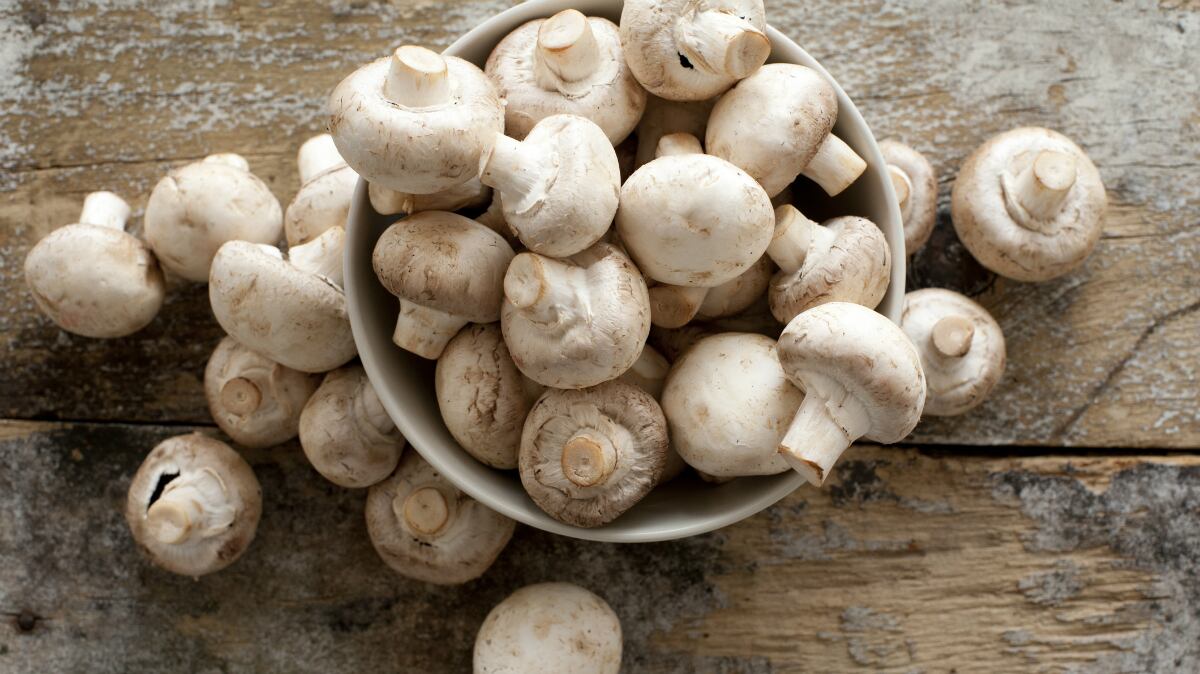 Mushrooms for memory: Singapore study finds beneficial impact against cognitive decline