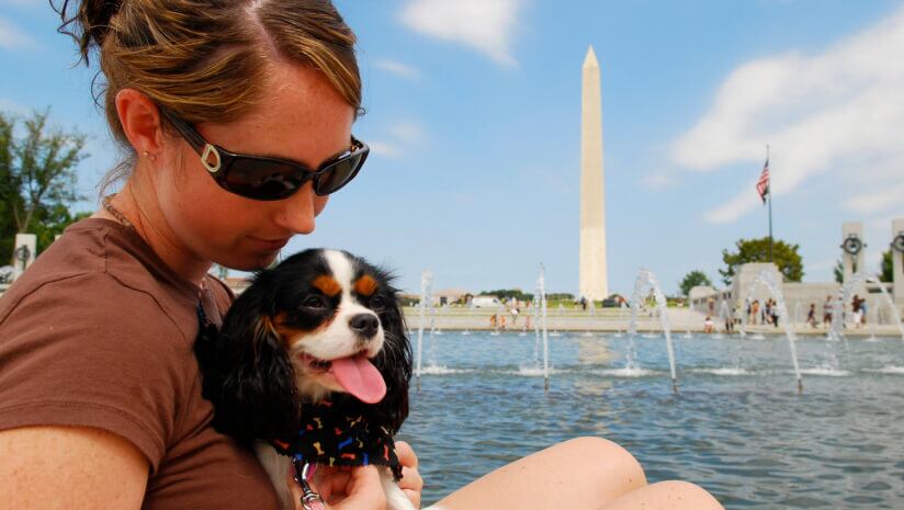 Pet organizations unite to address tariff challenges