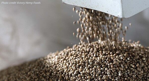 600x325-Article-Hemp-Seeds.jpg