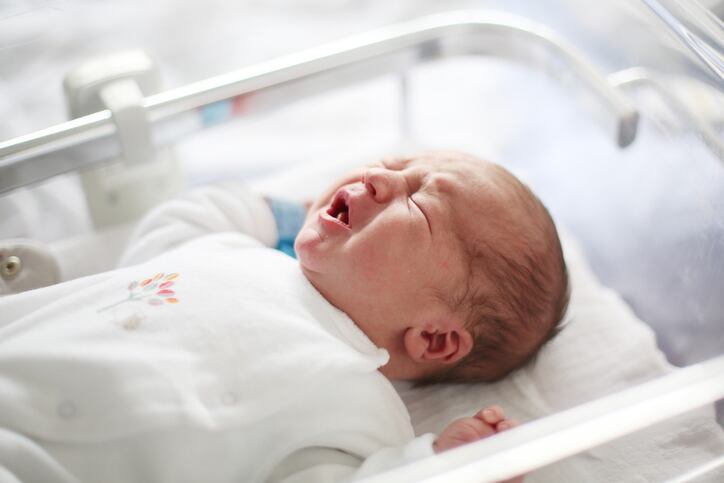 Limosilactobacillus vaginalis offers postbiotic strategy for compromised microbiota in infants